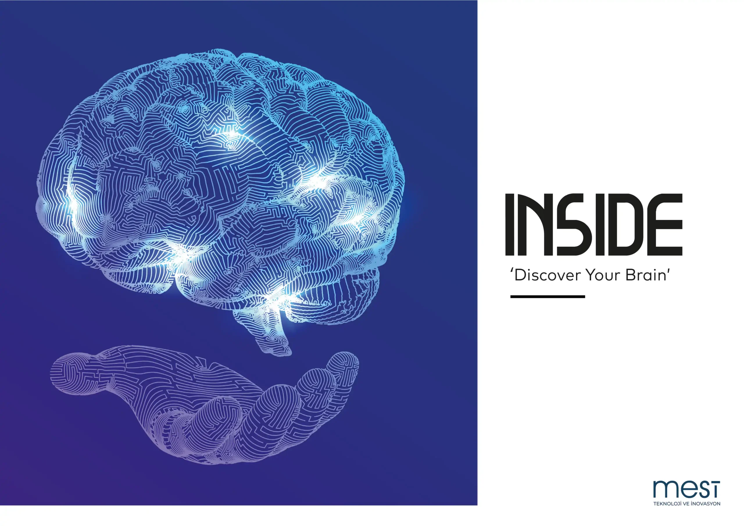 Inside – Discover Your Brain